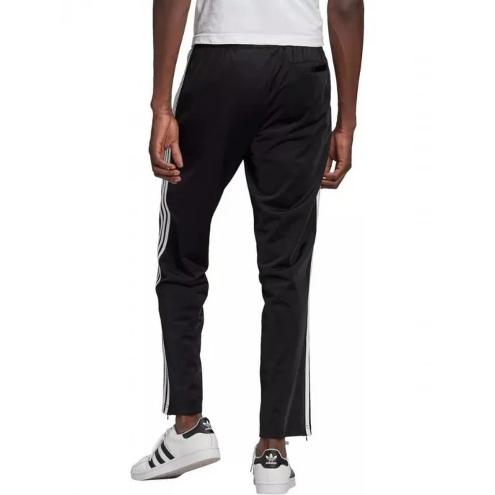 firebird tp GN3517 [1]