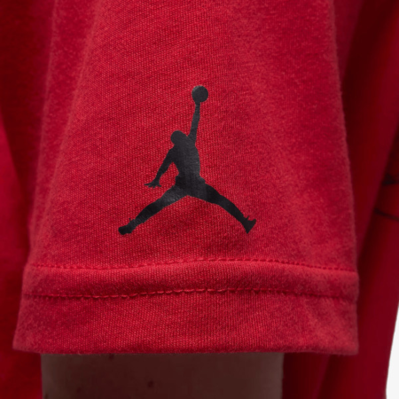 JDB AIR JORDAN HAS LANDED SS T 95F279-H15 [2]