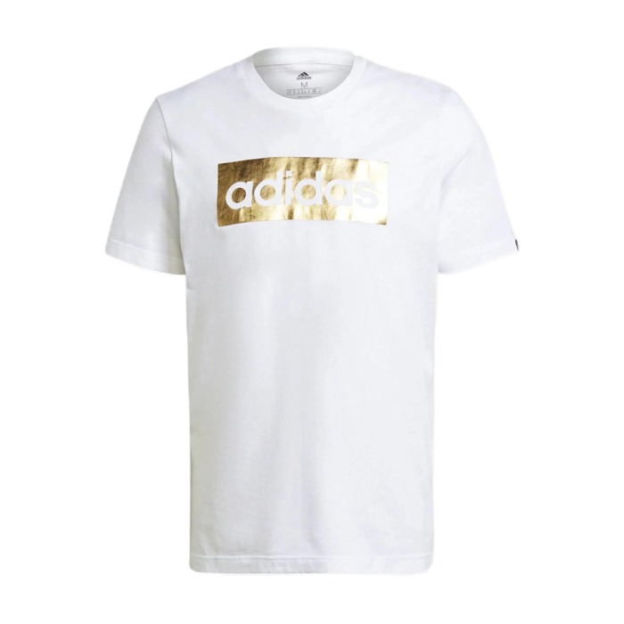 m fl bx t GS6281 [0]