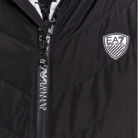 TRAIN PREMIUM SHIELD M DOWN LI PNE1Z-8NPQ02-1200 [2]