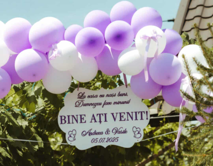 Plăcuțe "Bine ati venit!" [5]