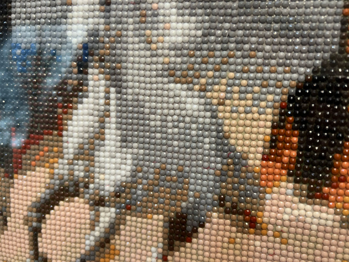 Galopul Libertatii [2]