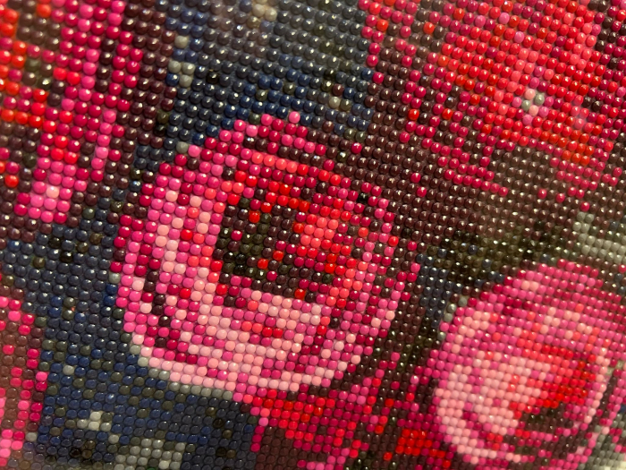 Gradina cu Trandafiri Rosii [2]