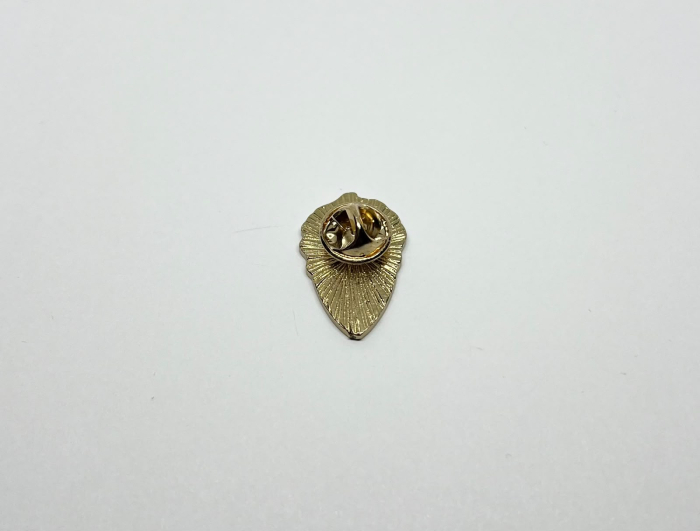 Pin metalic Înghețată cu lăbuță [3]