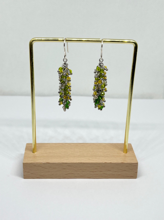 Zdranganici - Frunze de Primavara