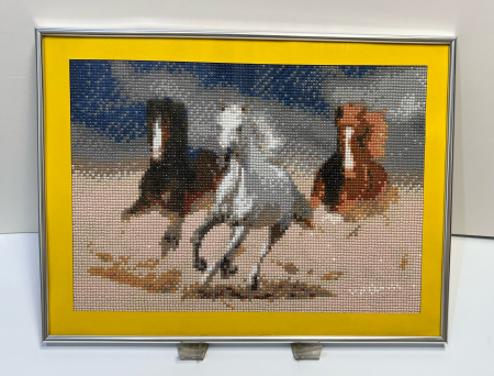 Tablouri Diamond Painting - Galopul Libertatii