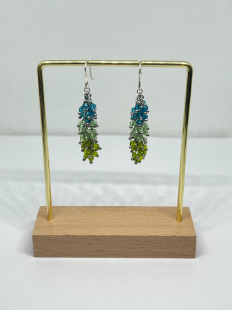 Zdranganici - Gradina de Vara