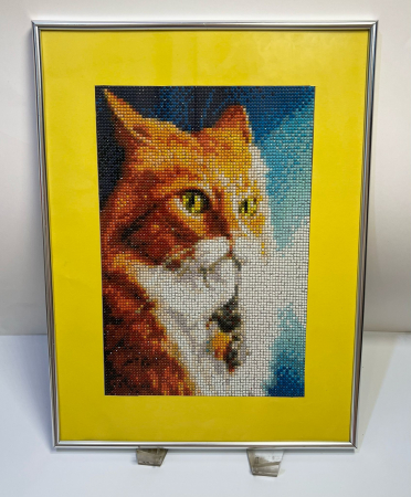Tablouri Diamond Painting - Privirea Felina