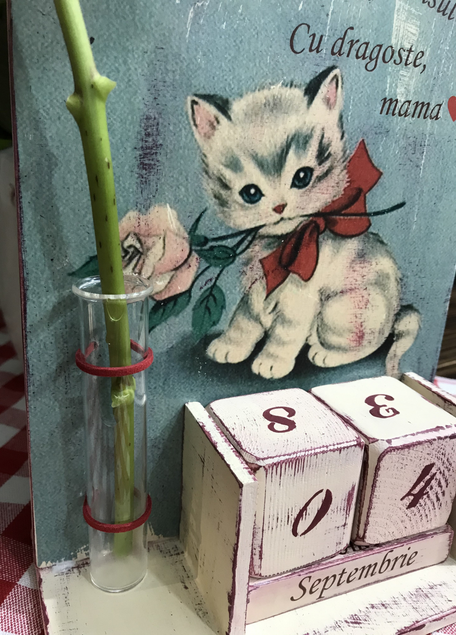 Calendar perpetuu handmade, cu eprubetă, model Pisică [5]