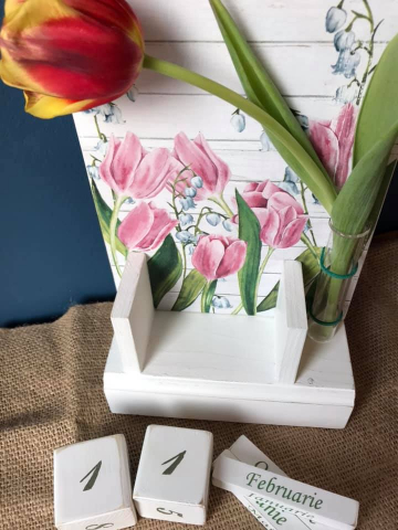 Set Lalele format din calendar perpetuu cu eprubetă și suport șervețele [4]