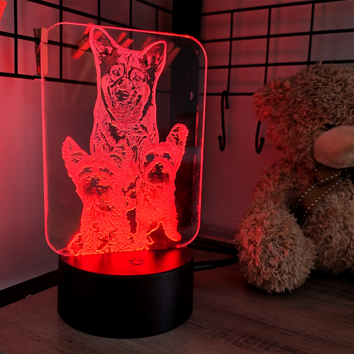 LAMPĂ 3D FOTO DREPTUNGHIULARĂ [5]