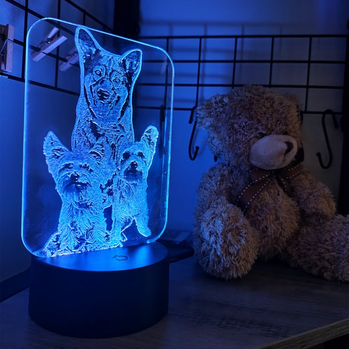 LAMPĂ 3D FOTO DREPTUNGHIULARĂ [3]