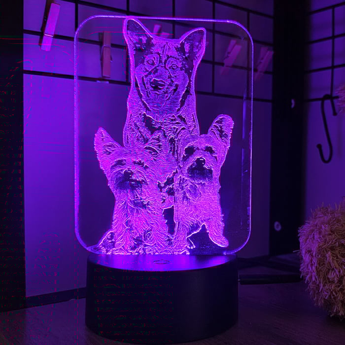 LAMPĂ 3D FOTO DREPTUNGHIULARĂ [6]