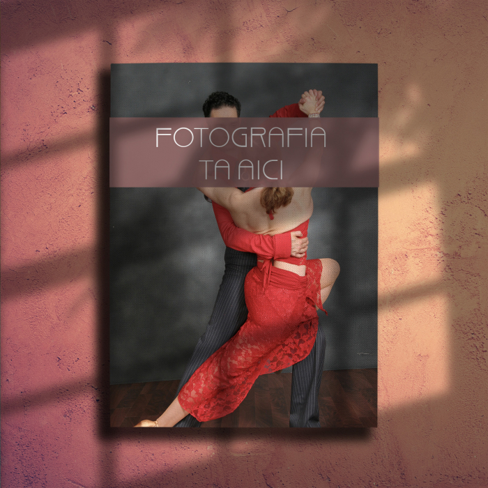 tablou canvas personalizat [6]