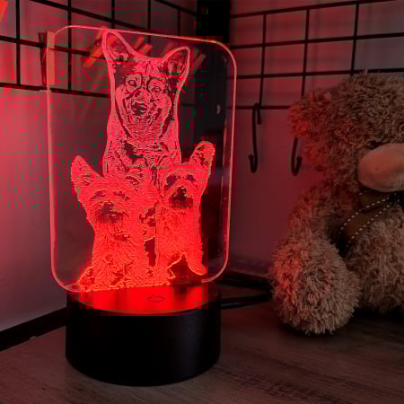 LAMPĂ 3D FOTO DREPTUNGHIULARĂ [4]