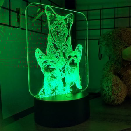 LAMPĂ 3D FOTO DREPTUNGHIULARĂ [1]