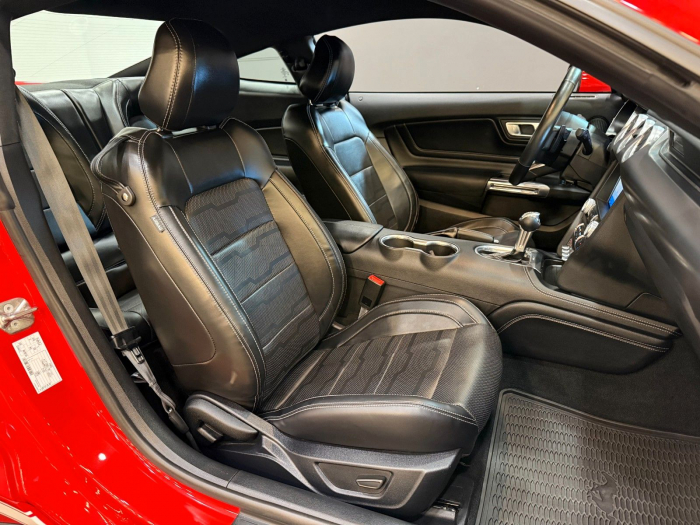 Ford Mustang GT 5.0l [11]