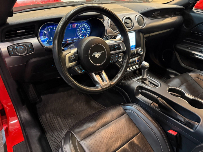 Ford Mustang GT 5.0l [8]