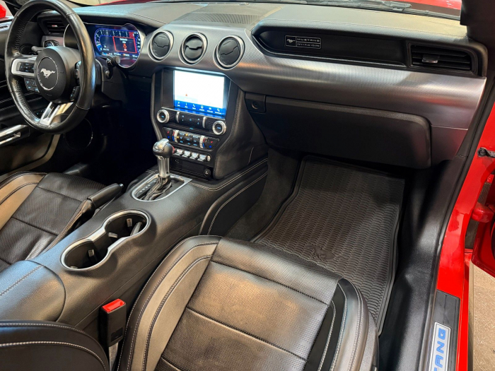 Ford Mustang GT 5.0l [10]