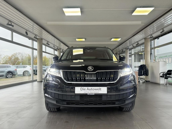 Kodiaq Clever 2.0 TDI DSG [2]