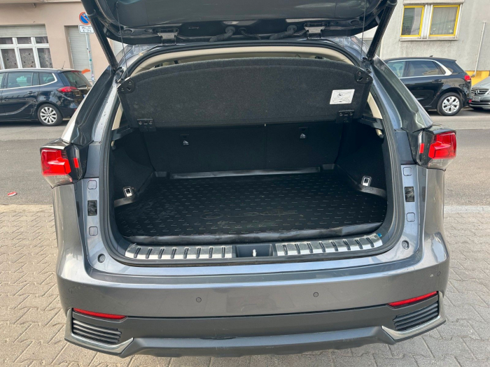 Lexus NX 300h Executive Line [7]