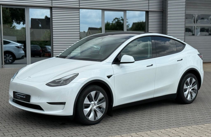 Model Y Long Range [4]