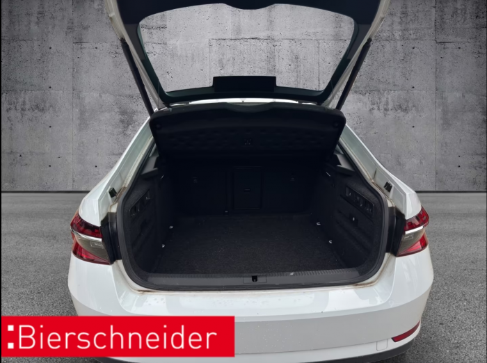 Skoda Superb Lim. 2.0 TDI DSG Style [8]