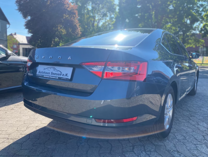 Skoda Superb Sedan [13]