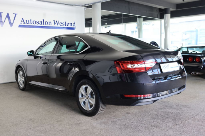 Superb LIMOUSINE [2]