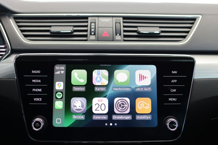 Superb LIMOUSINE [10]