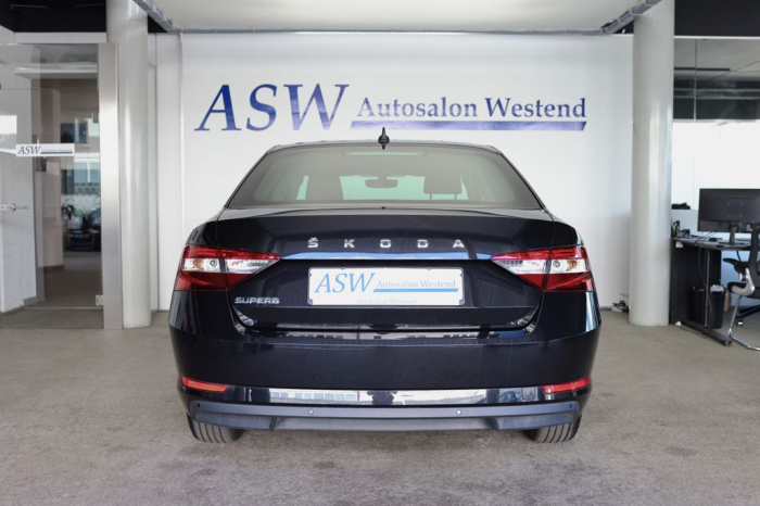 Superb LIMOUSINE [3]