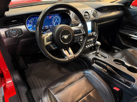 Ford Mustang GT 5.0l [7]