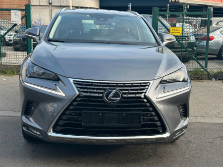 Lexus NX 300h Executive Line [1]