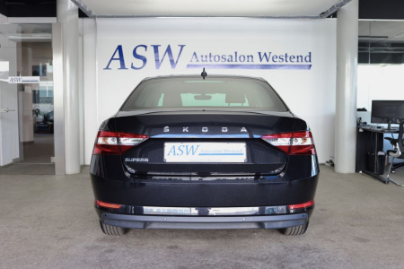 Superb LIMOUSINE [2]