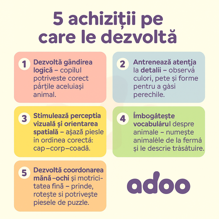 Joc logic NORIEL - De la cap la coada [2]