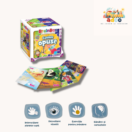 6+ ani - Joc educativ BrainBox Cuvinte opuse