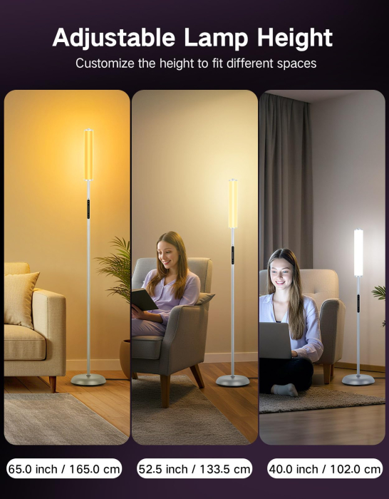 AM312 - Lampadar de podea RGBICW Smart LED, Gri [3]