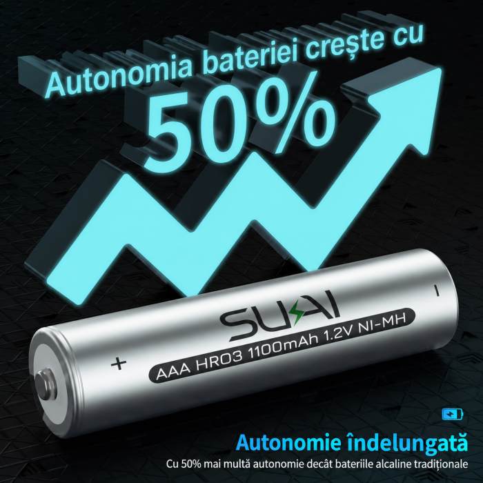 Set 16 Acumulatori AAA Reincarcabili Ni-MH, 1100 mAh, 1.2V [5]