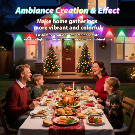 Instalatie LED Inteligenta RGBIC Exterior 30 m, Iluminat Permanent, Control prin Aplicatie si Telecomanda, IP67 [5]