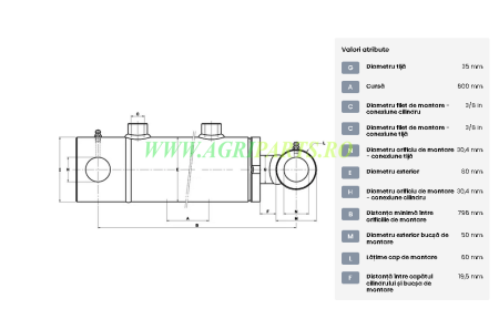 Cilindru hidraulic serie D-ST 30.4x80x35x796mm [1]