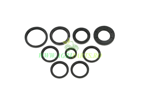 Kit pentru reparatii pompa MEC4000 cu vane standad - Battioni Pagani [5]