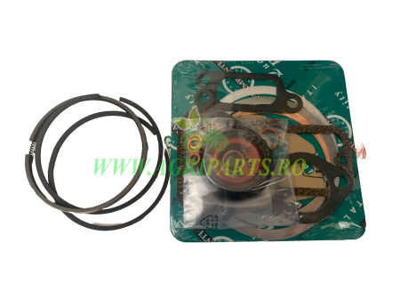 Set motor tractor Goldoni - Motor SLANZI DVA 1750 diametru 92 mm - FIN2055KIT [1]