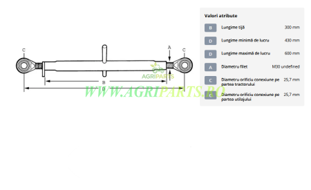 Tirant central standard 300-M30 categoria 2/2 [1]