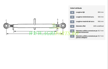 Tirant central standard 800-M30 categoria 2/2 [1]