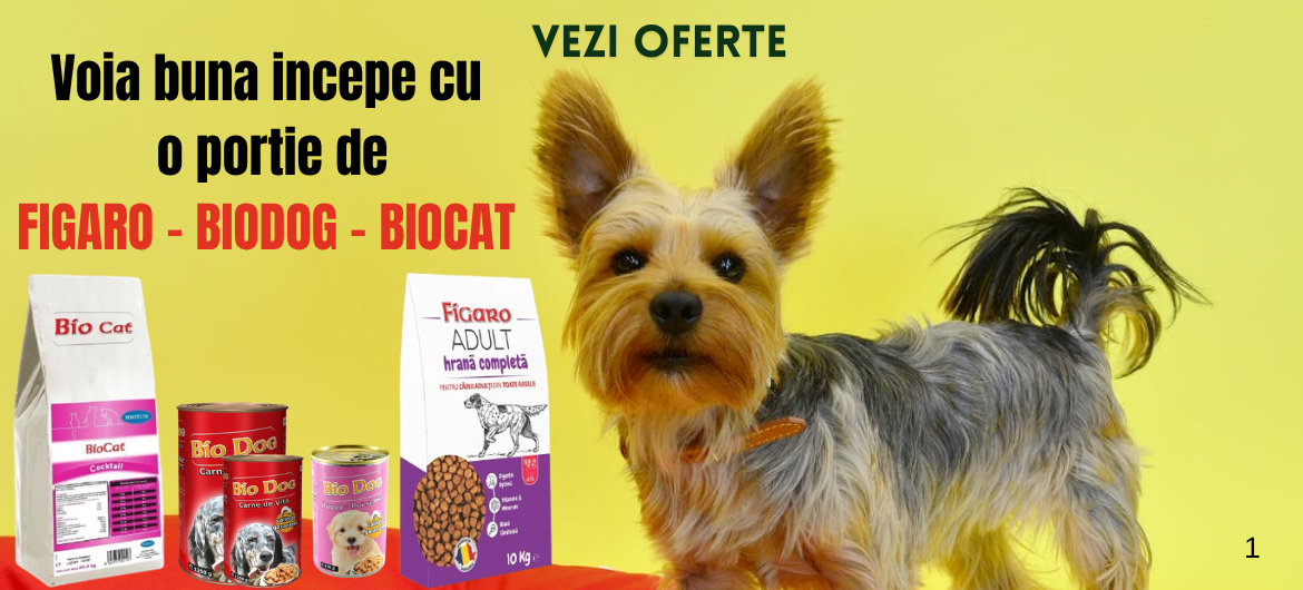 FIGARO - BIODOG - BIOCAT