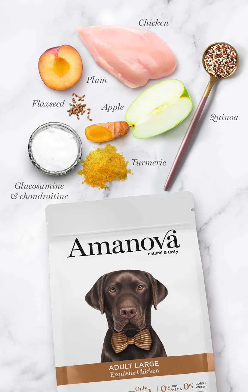 Hrana Uscata Caine Adult, AMANOVA Hipoalergenic, Talie Mare, Pui, 12kg [2]