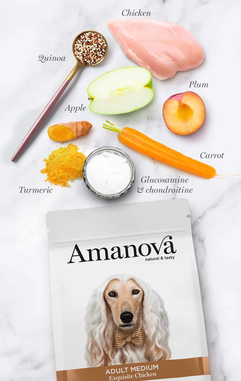 Hrana Uscata Caine Adult, AMANOVA Hipoalergenic, Talie Medie, Pui, 12kg [3]