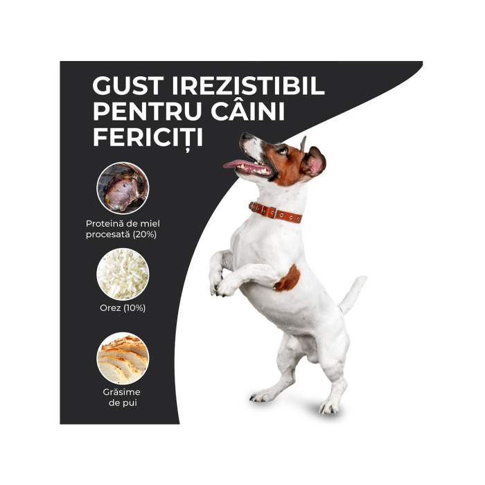 hrana-uscata-caini-adulti-VIVO-SUPER-PREMIUM-mini-small-miel-orez-10kg-AgriUrsan [3]