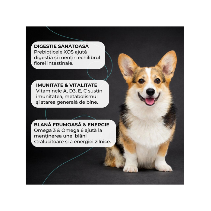 hrana-uscata-caini-adulti-VIVO-SUPER-PREMIUM-mini-small-miel-orez-10kg-AgriUrsan [4]