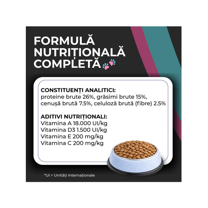 hrana-uscata-caini-adulti-VIVO-SUPER-PREMIUM-mini-small-miel-orez-10kg-AgriUrsan [6]